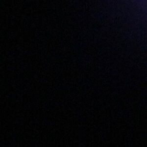 Meet your Posher, Jilly